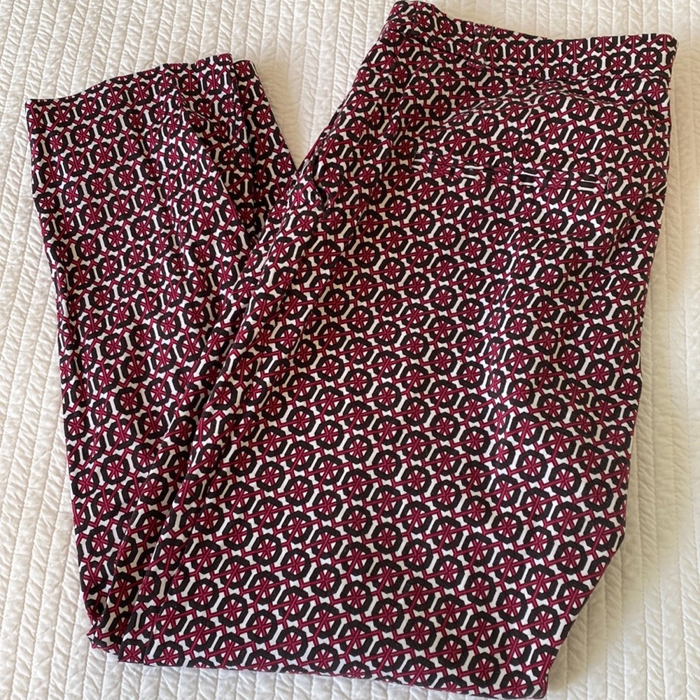 Beautiful Ankle Length Pants